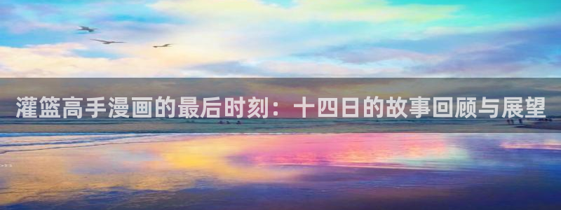 羞羞漫画登录页：灌篮高手漫画的最后时刻：十四日的故事回顾与展望